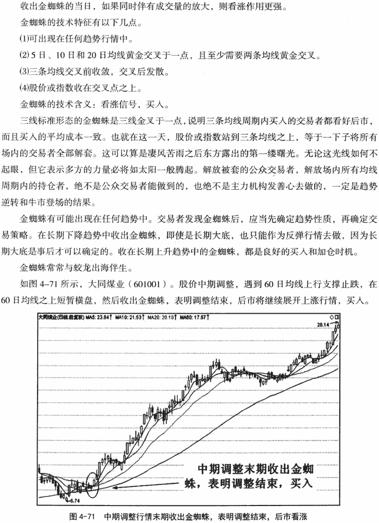 金蜘蛛和毒蜘蛛形态